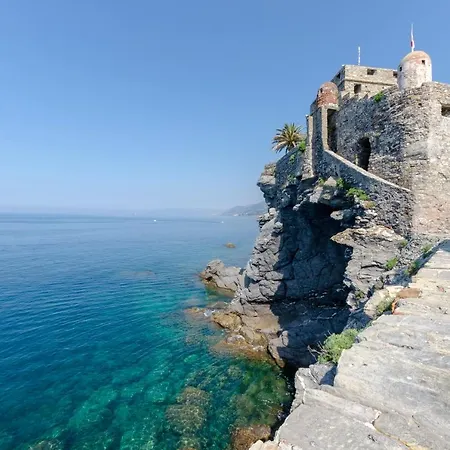 Daire Joivy Treasure For 4 With Terrace And Incredible View Camogli